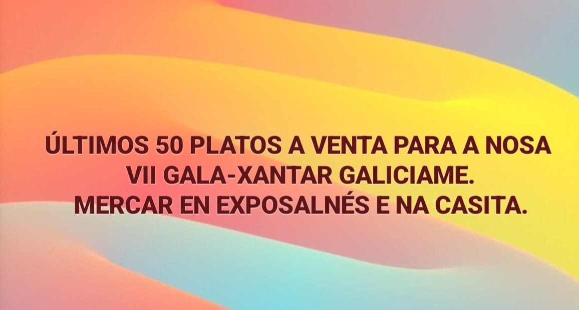 VII Gala y almuerzo solidario Galiciame