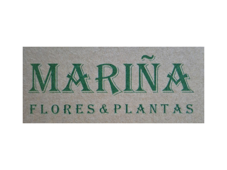 Mariña: Flores & Plantas